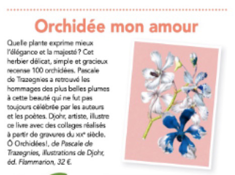 Orchidées Vie Pratique Féminin