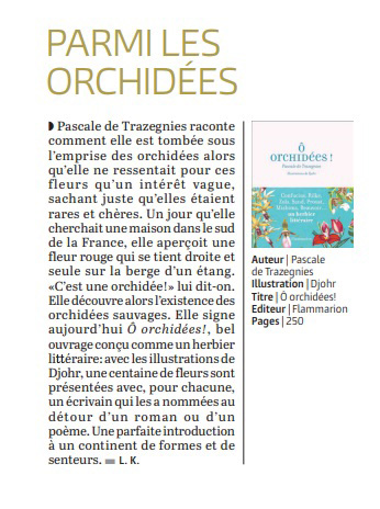 Orchidées - Suisse Le Temps CH