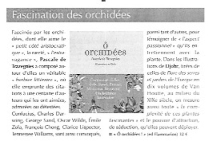 Paris Normandie - Fascination des Orchidées